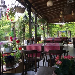 Otel Melodi